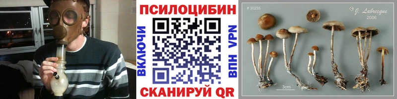 Галлюциногенные грибы Cubensis  даркнет как зайти  Заозёрск  как найти закладки  blacksprut зеркало 